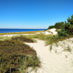 Nadmorskie plaże: Odkryj łagodne fale i złote piaski przy brzegu oceanu